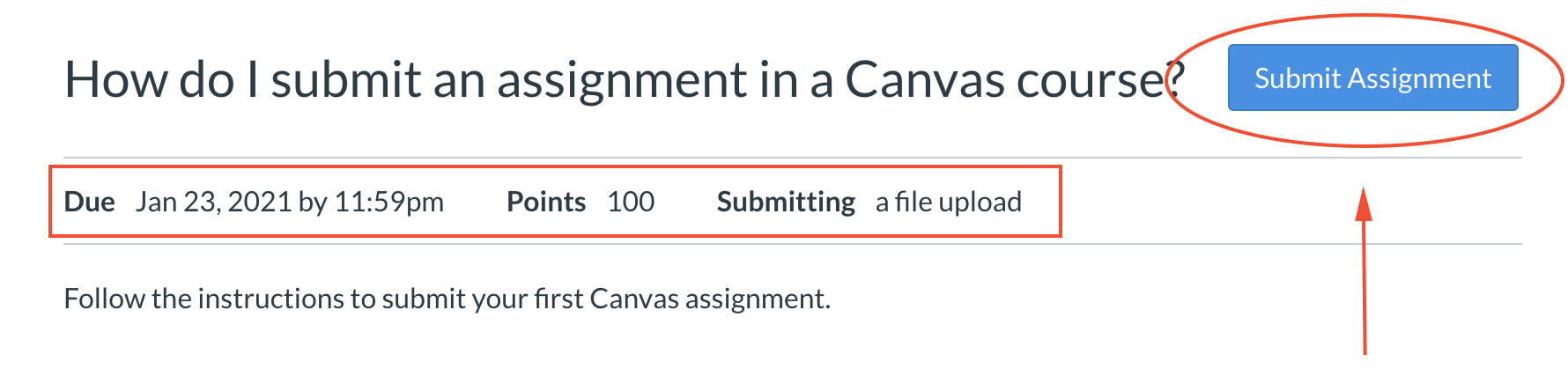 verify assignment submission on canvas